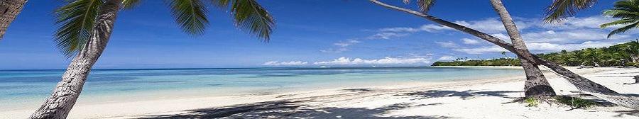 牙买加海滩宽39